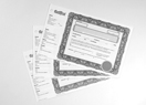 Blank share certificates with text
